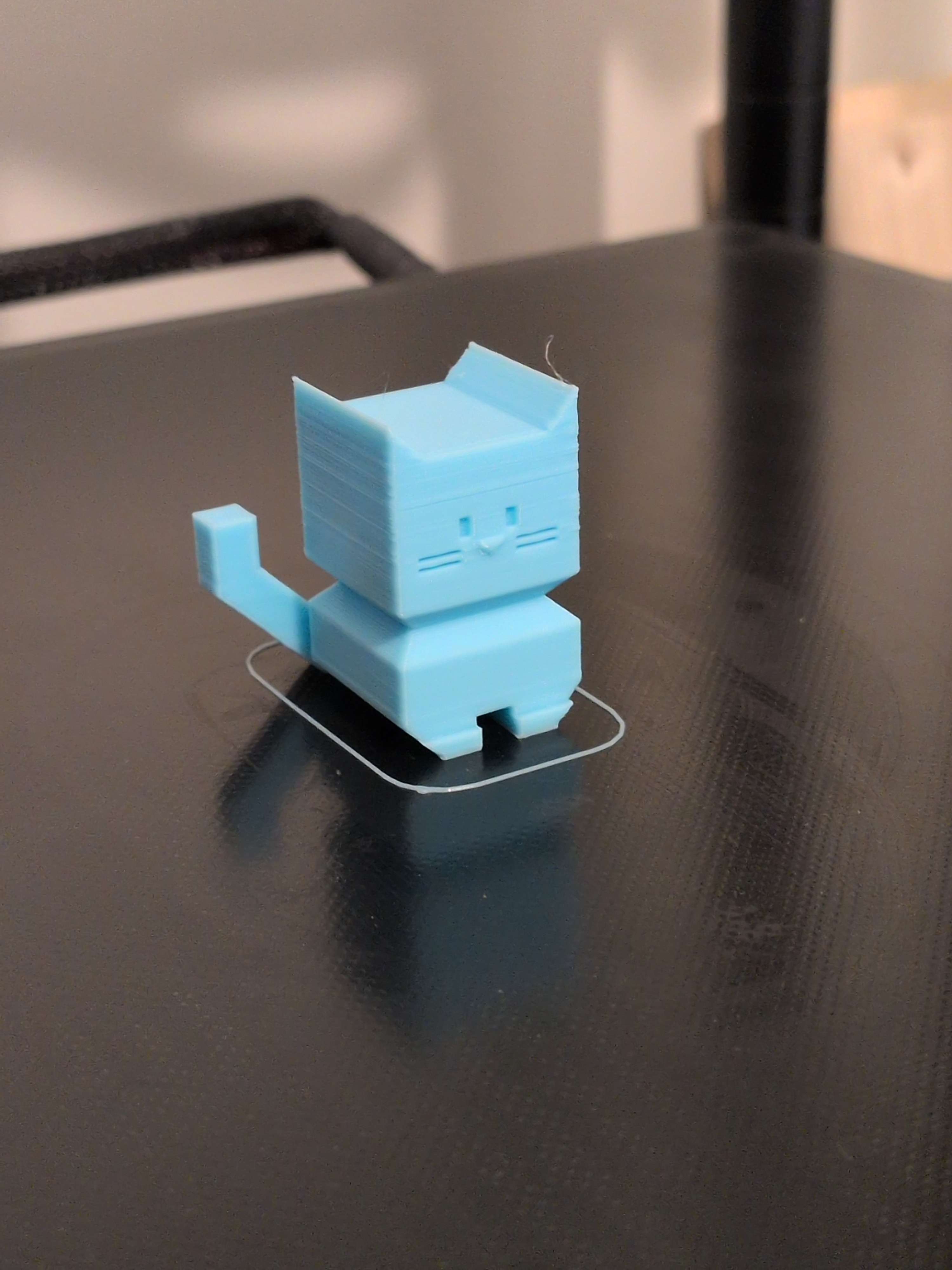 A "calibration cat" I printed while testing beginner friendly settings on our Sidewinder X1 3d printer